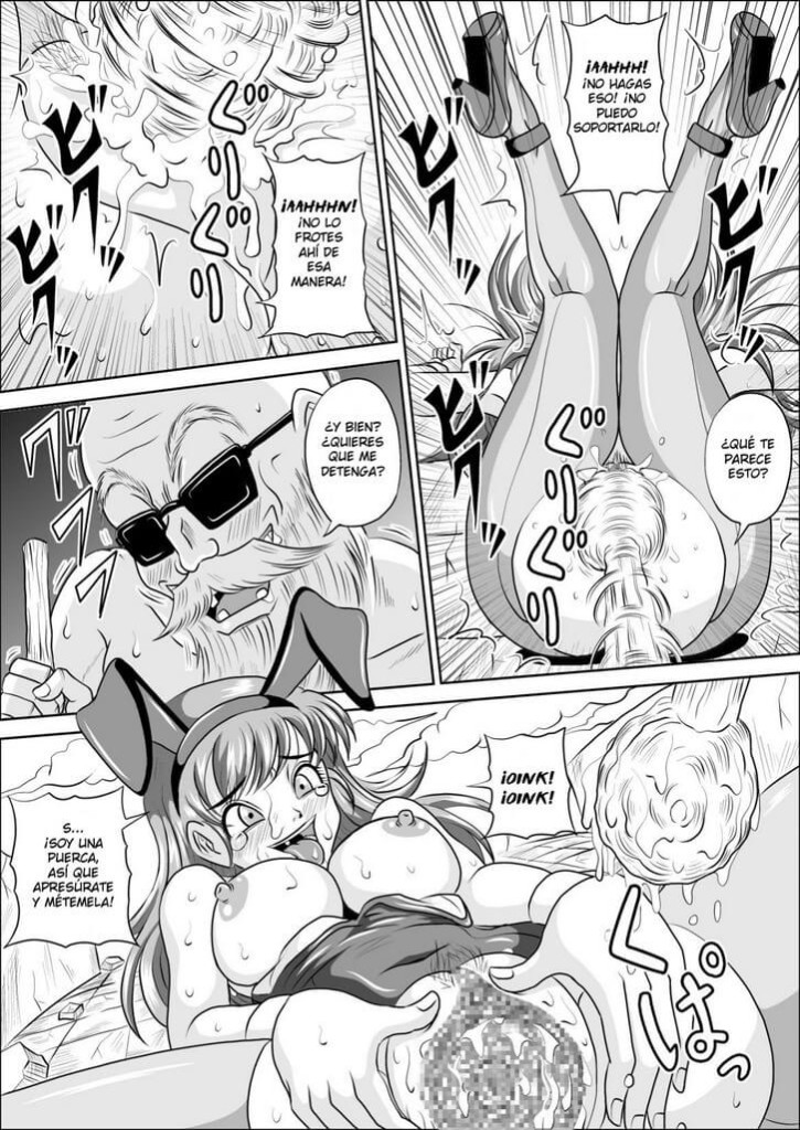 Sow In the Bunny Hentai 016