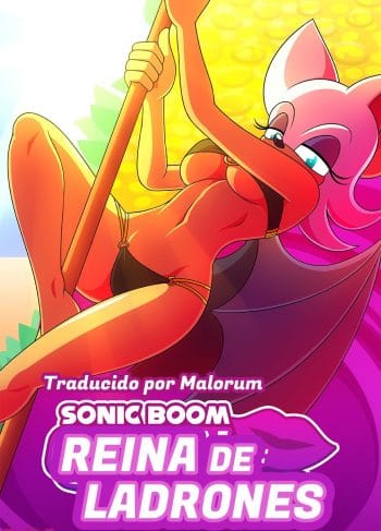 Sonic Boom Queen Of Thieves