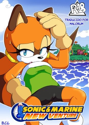 Sonic Porn Comics - Sonic - ChoChoX.com