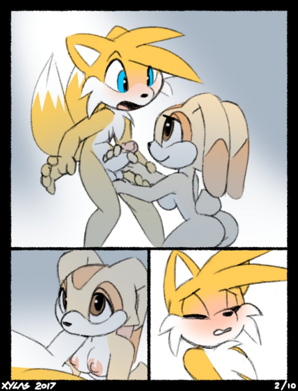 Tails And Cream Xylas 02