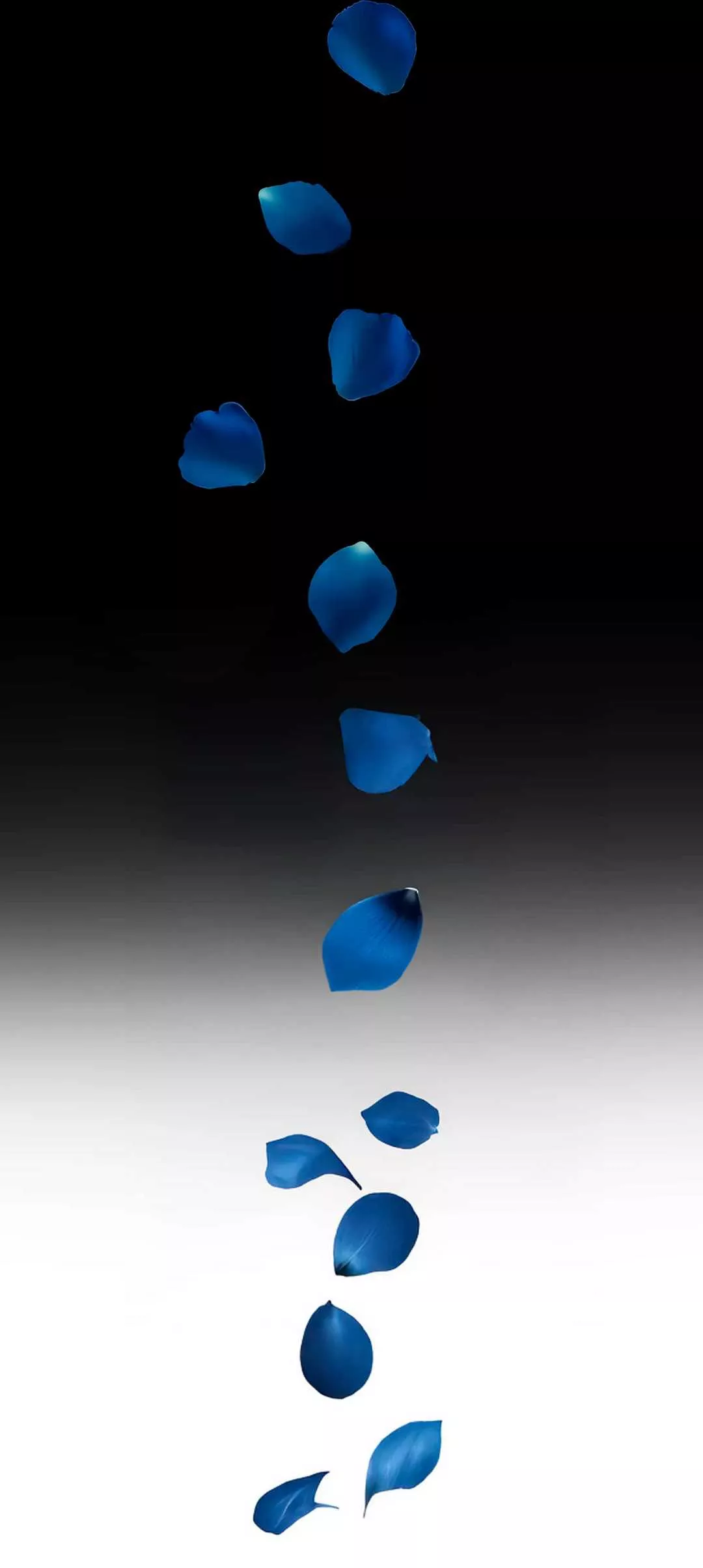 Despedido 1 Roseblue3d 18